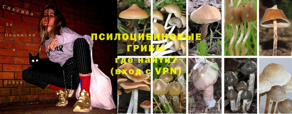 ECSTASY Навашино