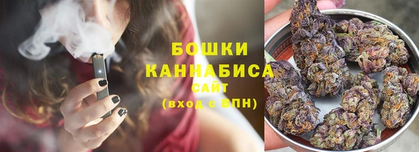 соль ск Надым