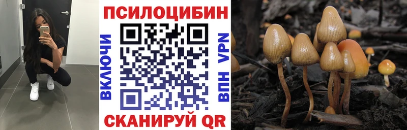 Псилоцибиновые грибы Cubensis mega ONION Суоярви